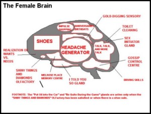 brain_female_sm